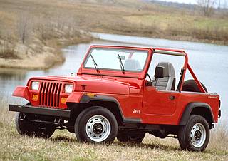 Notice the Single Roll-bar with Driver and Passenger extensions on this 1991 YJ Wrangler!