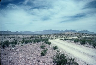 Big Bend National Park Desert Road!