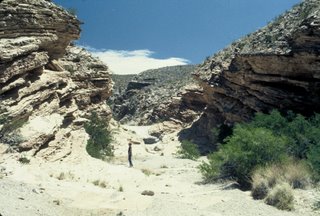 Big Bend National Park Primitive Area!