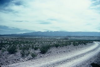 Big Bend National Park Remote Desert Road!