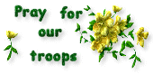 Support The Troops_Pray For Them!