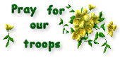 Support The Troops_Pray For Them! Support The Troops_Pray For Them!