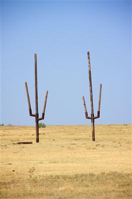 Metal Cactus Art St. Jo Tx Jenifer 7-4-11