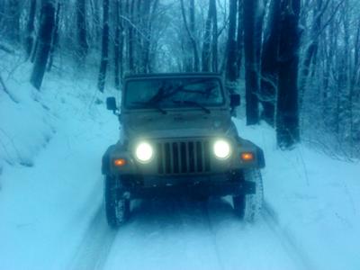 2010 New Years Day, Forbes Forest, Somerset co. Pennsylvania