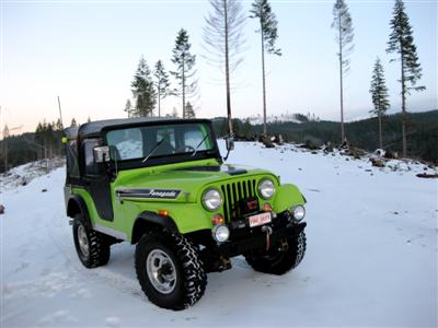 Pete's 1972 CJ5 Renegade