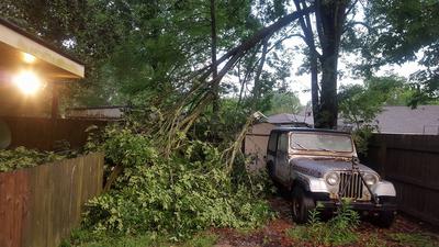 Tree missed the jeep, just barely!