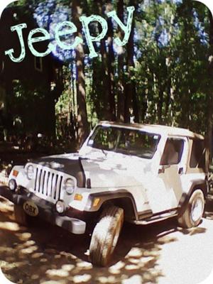 The Jeep :)