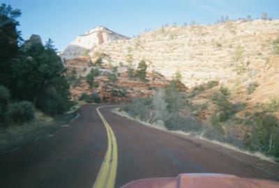 In Zion Park